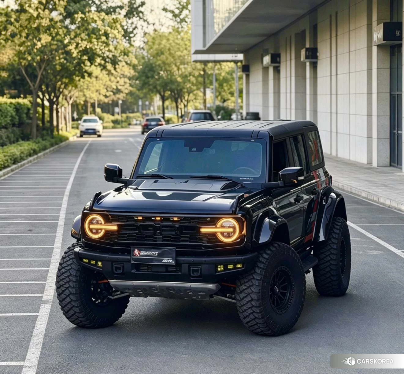 Ford Lie Ma 2024 Черный из Китая, фото 3