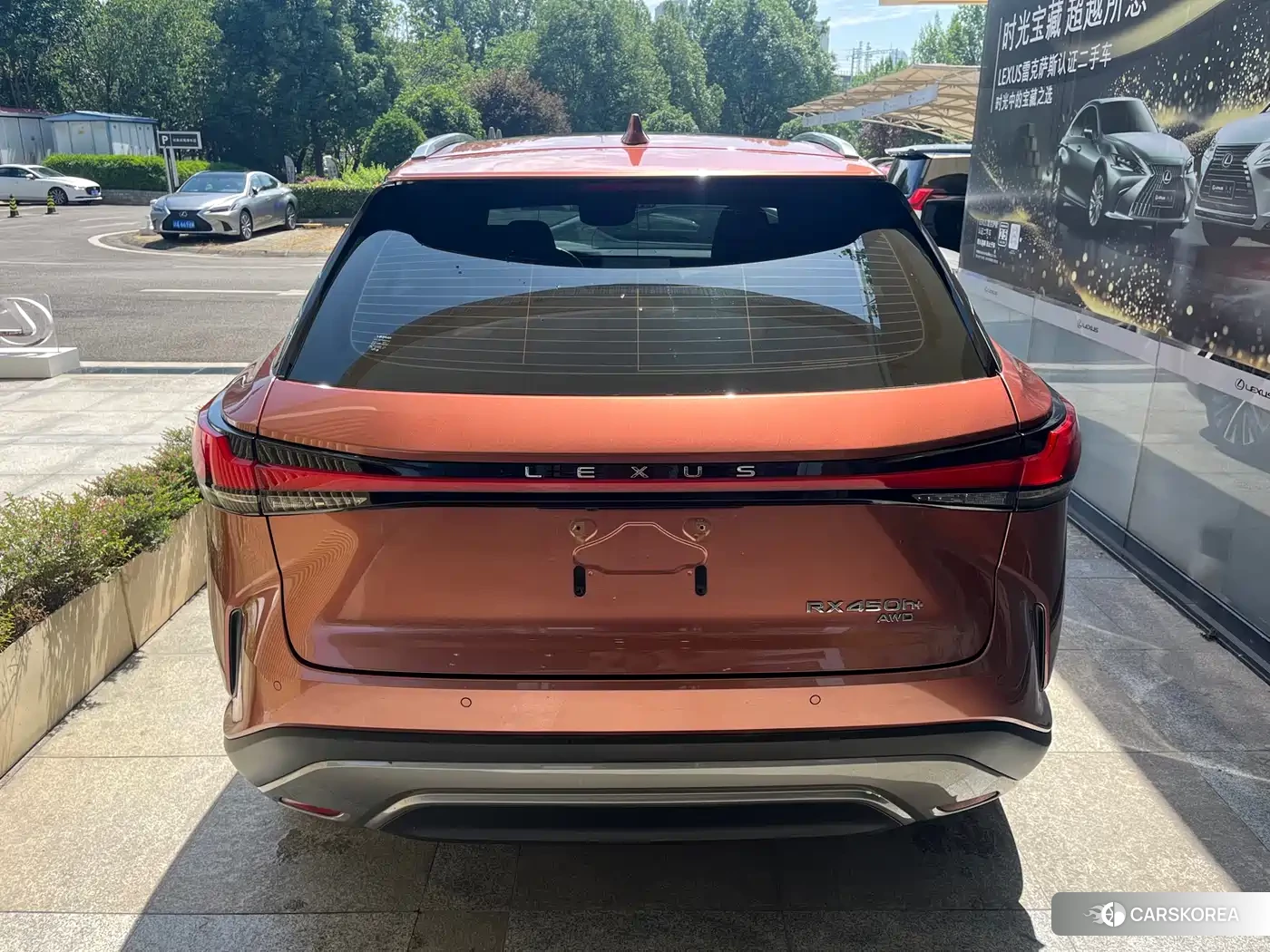 Lexus RX New Energy 2023 Champagne/brown из Китая, фото 3