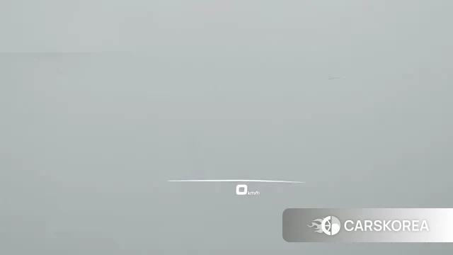 Porsche Panamera (971) 2021 Синий из Кореи, фото 3