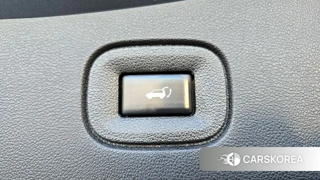 Renault Korea (Samsung) The New QM6 2021 Цвет тростника из Кореи, фото 3