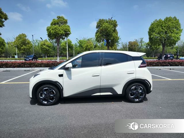 BYD Seagull 2025 Белый из Китая, фото 3