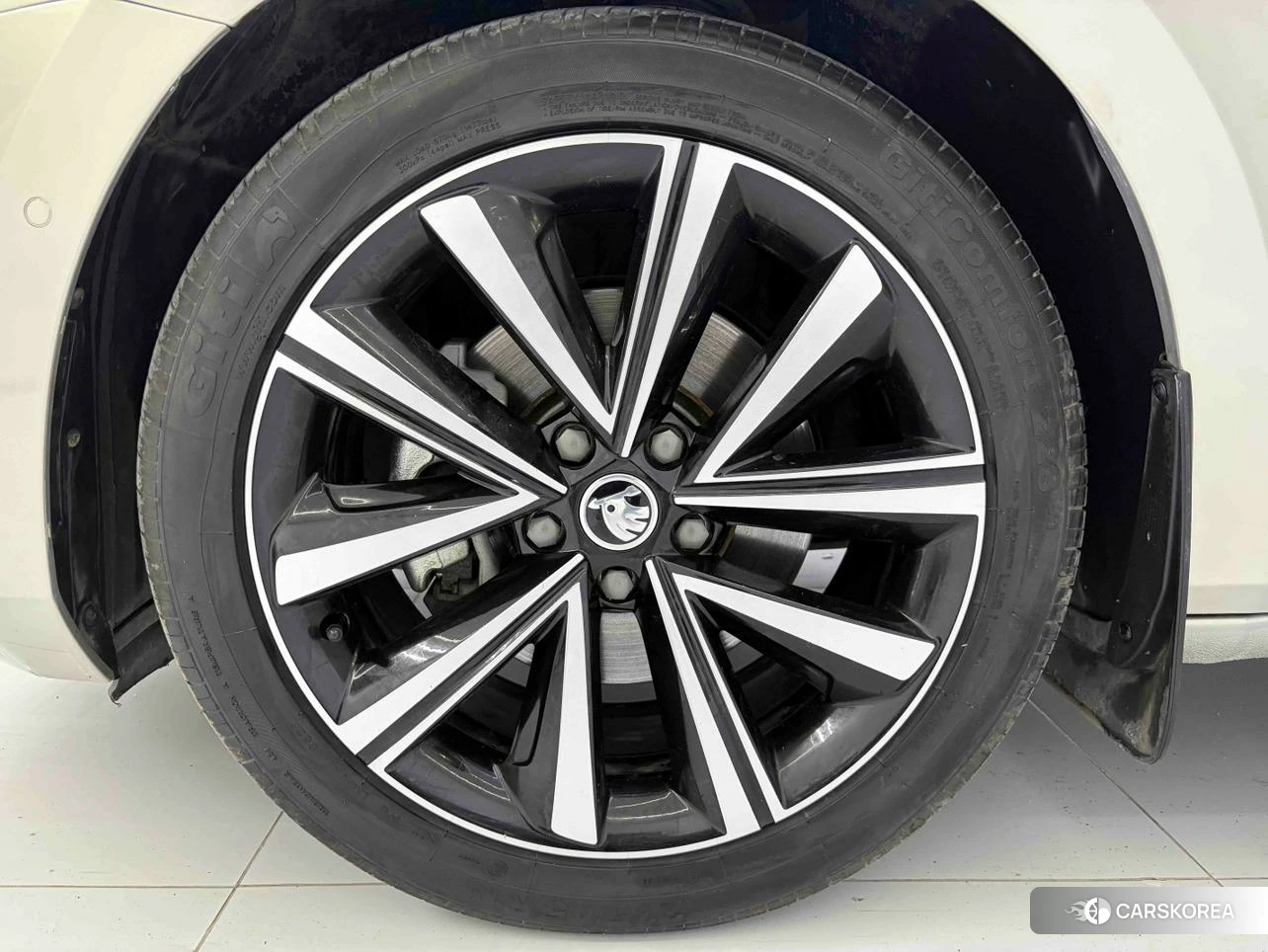 Skoda Speed pie 2022 Шампань из Китая, фото 3