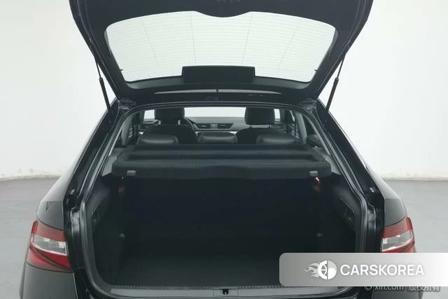 Skoda Speed pie 2019 Черный из Китая, фото 3