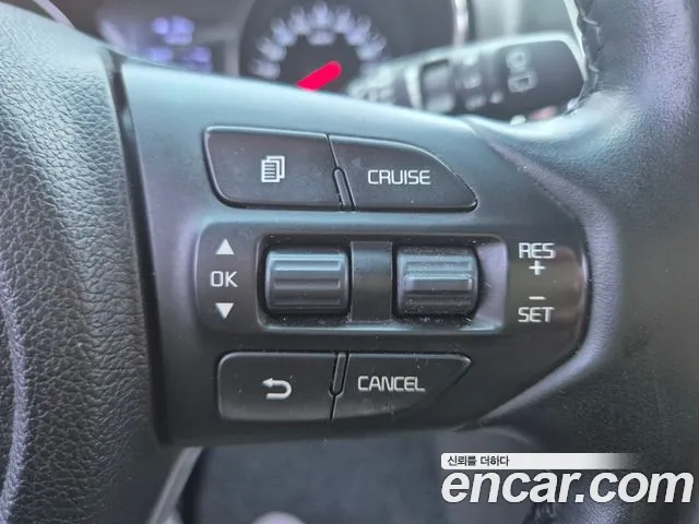 Kia The New Carnival 2019 Жемчужный цвет из Кореи, фото 3