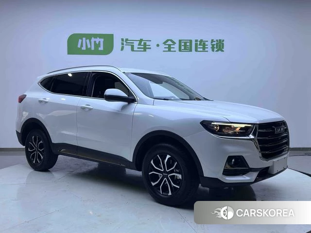 Haval H6 2022 Белый из Китая, фото 3