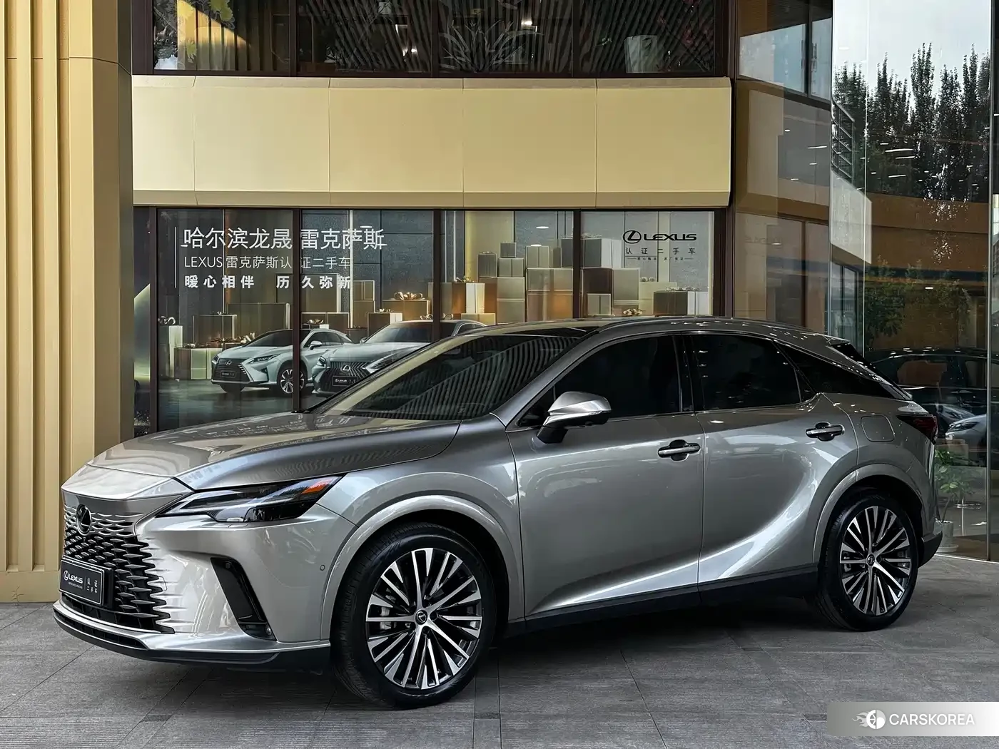 Lexus RX 2023 Silver/gray из Китая, фото 3