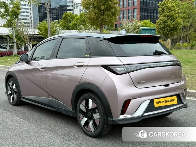 BYD dolphin 2024 Другой из Китая, фото 3