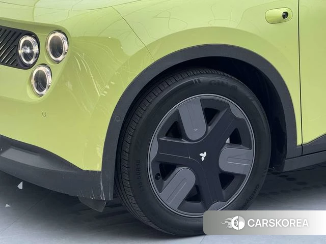 firefly firefly Unknown 2025 Зеленый из Китая, фото 3