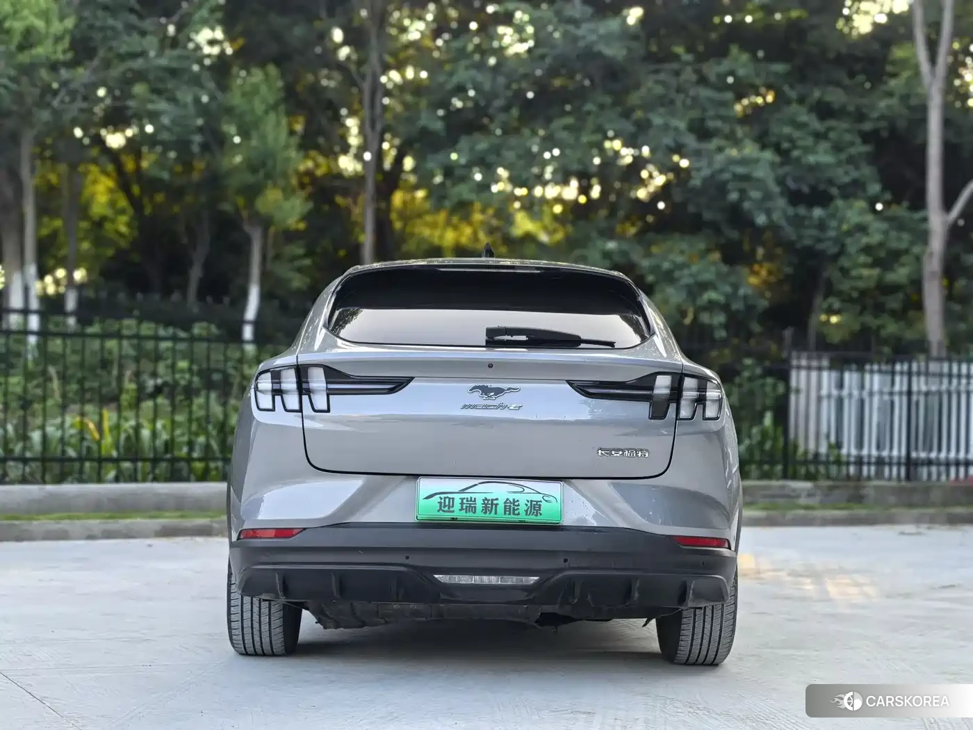 Ford Electric horse 2022 Silver/gray из Китая, фото 3