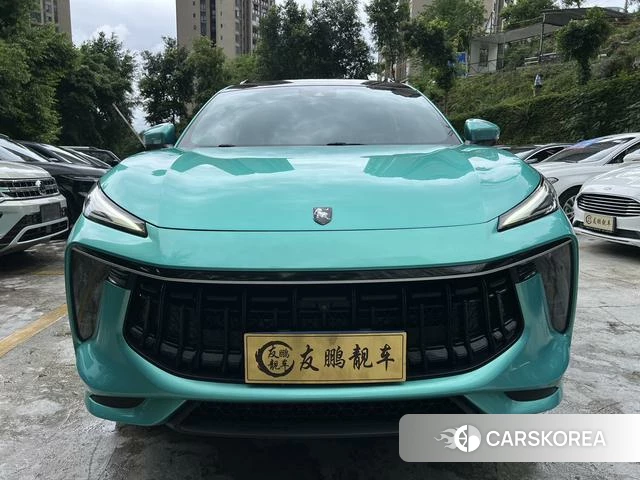 Dongfeng popular Popular T5 EVO 2022 Зеленый из Китая, фото 3