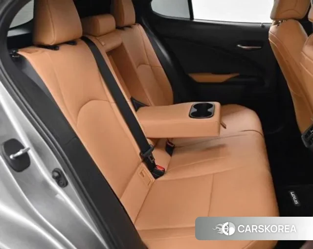 Lexus UX250h 2023 Серый из Кореи, фото 3