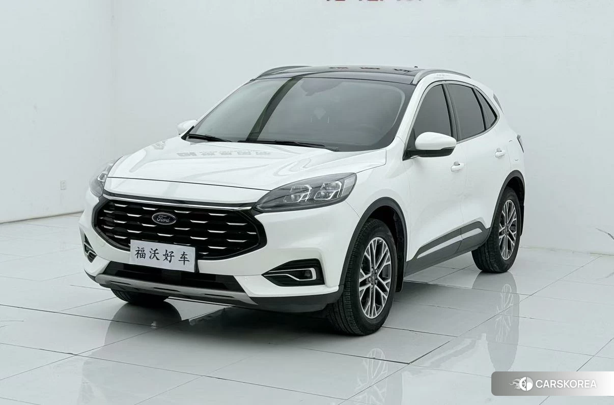 Ford Ruiji 2020 Белый из Китая, фото 3