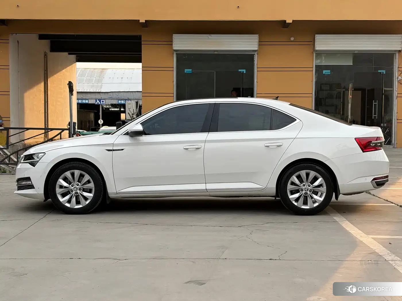 Skoda Speed pie 2021 Белый из Китая, фото 3