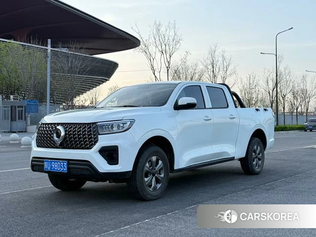 Great Wall cannon 2025 Белый из Китая, фото 3