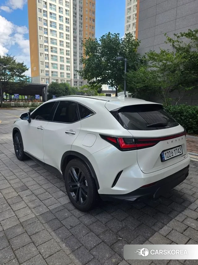 Lexus NX350h Second generation 2024 Белый из Кореи, фото 3