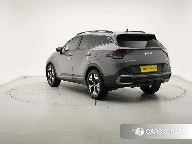 Kia Lion Platinum expands the world 2023 Темно-серый из Китая, фото 3