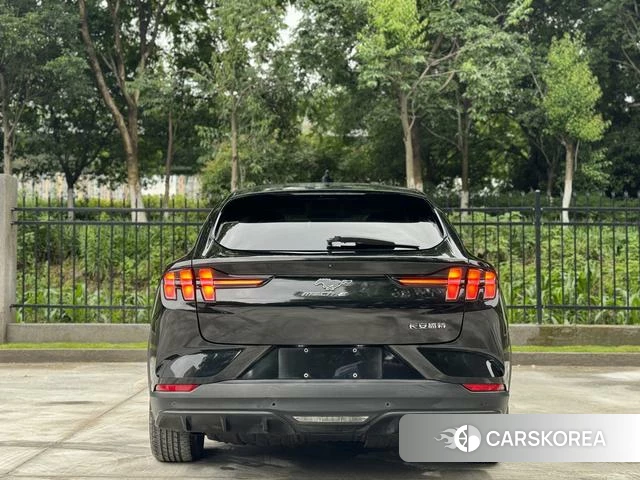 Ford Electric horse 2022 Черный из Китая, фото 3