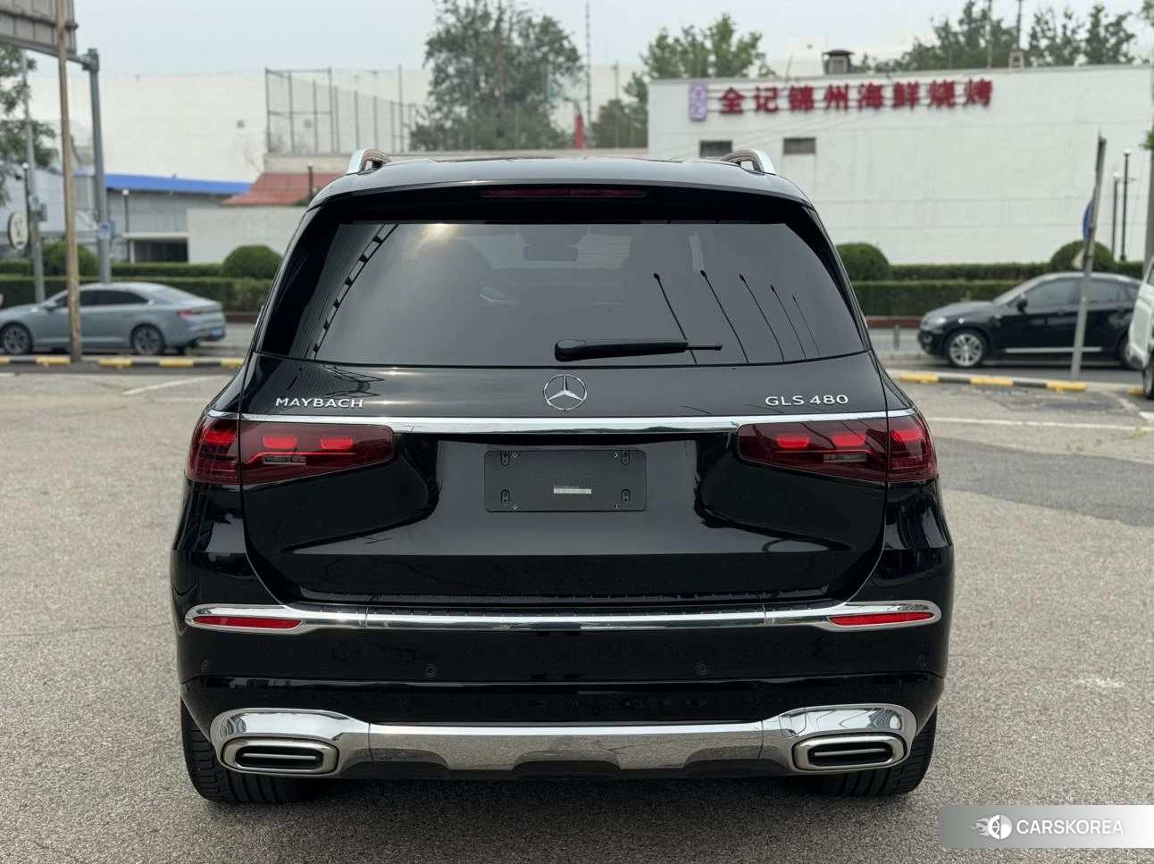 Mercedes-Benz Maybach GLS 2024 Черный из Китая, фото 3