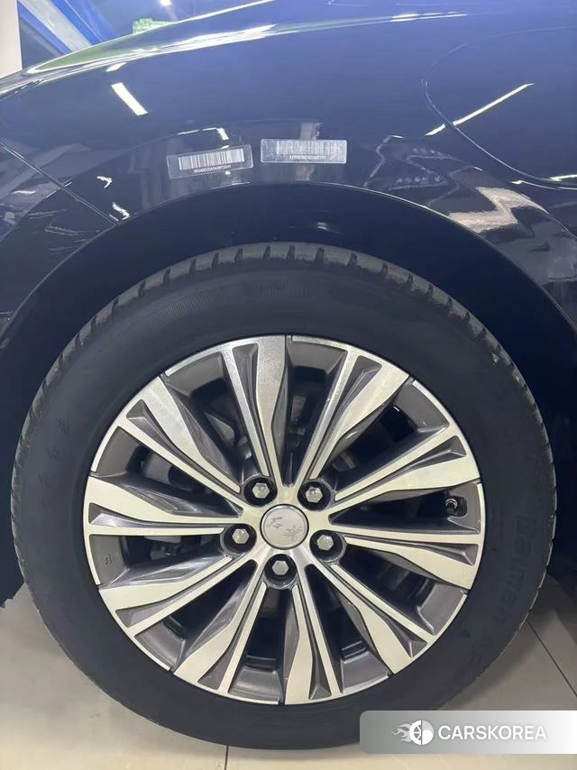 Red flag E-QM5 2023 Черный из Китая, фото 3