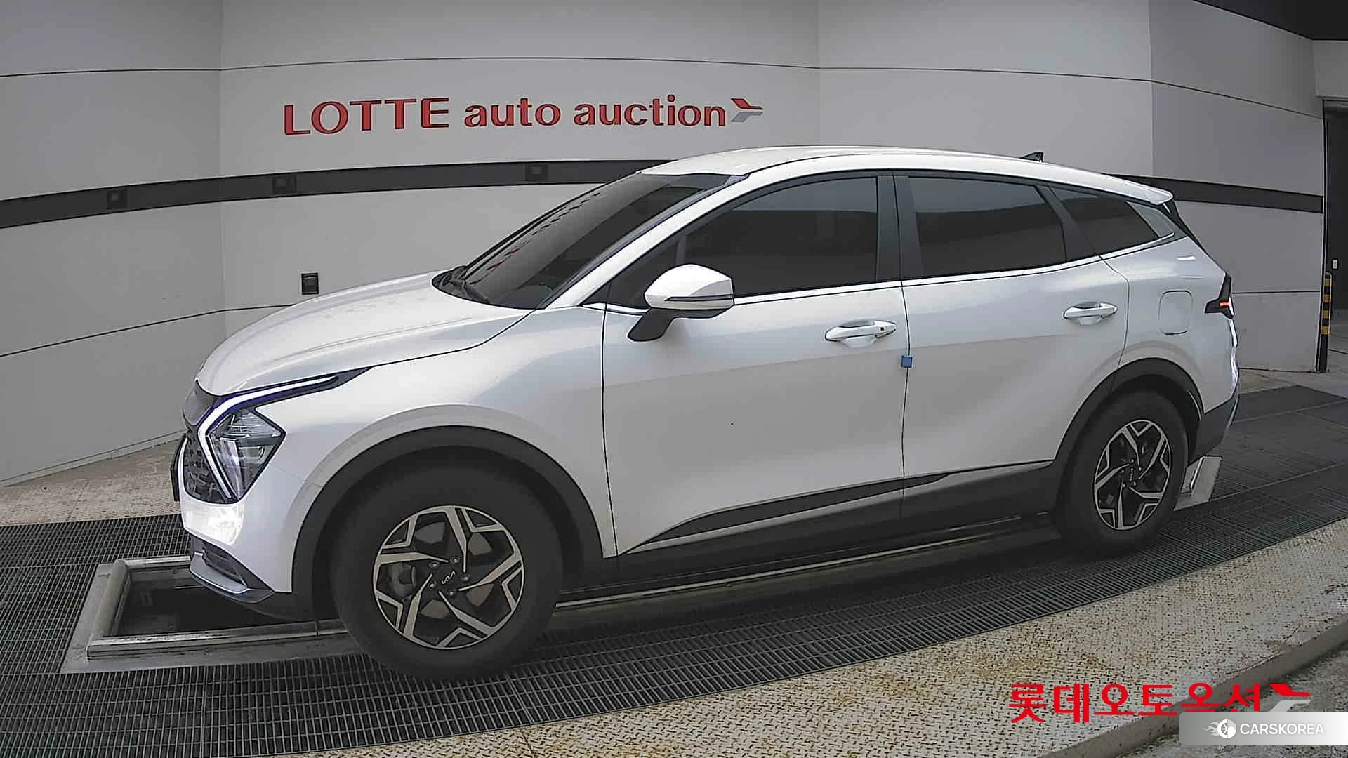 Kia Sportage 2024 Snow White Pearl из Кореи, фото 3