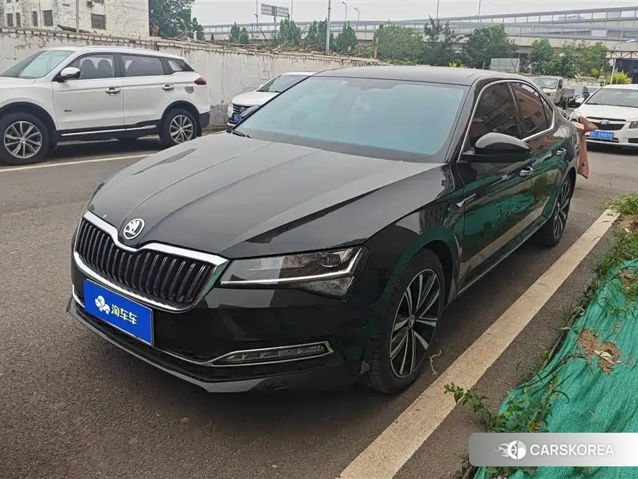 Skoda Speed pie 2024 Черный из Китая, фото 3