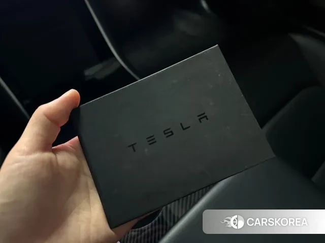 Tesla Model 3 2020 Белый из Кореи, фото 3