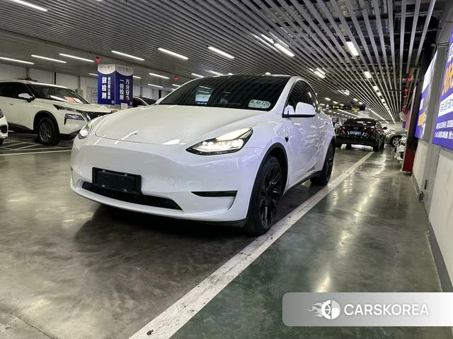 Tesla Model Y 2021 Белый из Китая, фото 3
