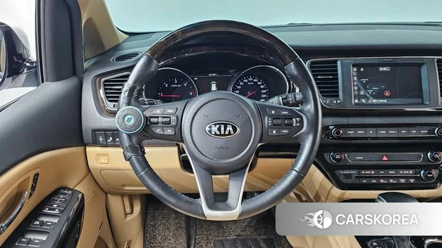 Kia The New Carnival 2019 Белый из Кореи, фото 3