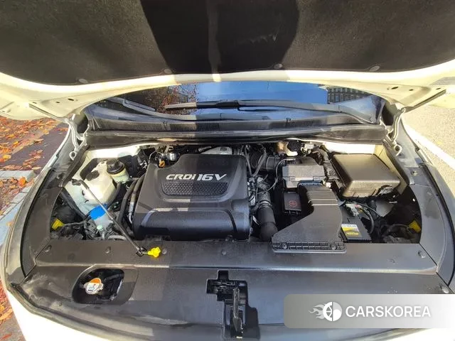 Kia All New Carnival 2018 Белый из Кореи, фото 3