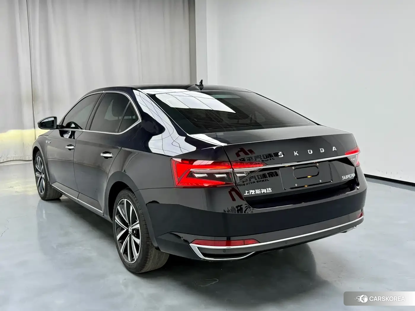 Skoda Speed pie 2023 Черный из Китая, фото 3