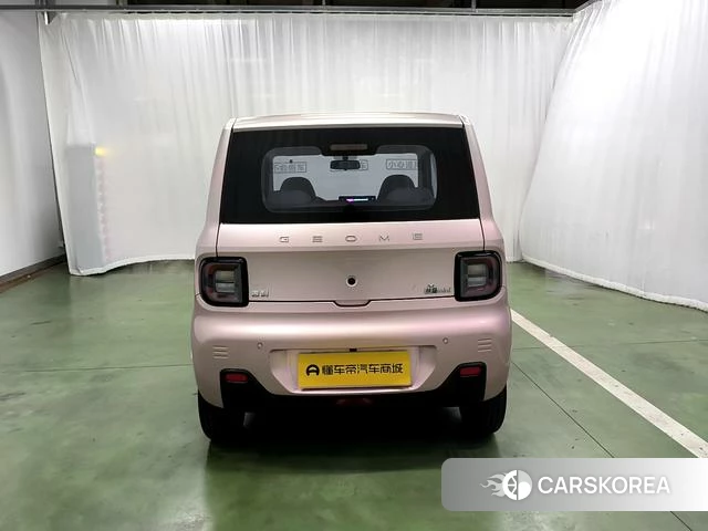 Geely Galaxy panda 2023 Другой из Китая, фото 3