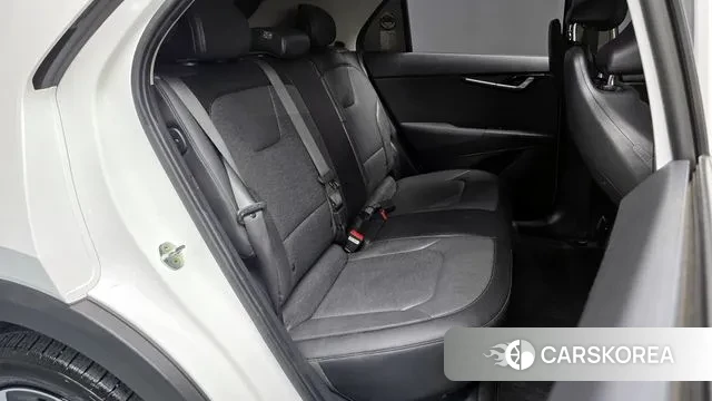 Kia Di All New Niro EV 2022 Белый из Кореи, фото 3