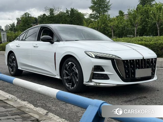Red flag H6 2023 Белый из Китая, фото 3