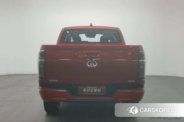 Great Wall cannon 2022 Красный из Китая, фото 3