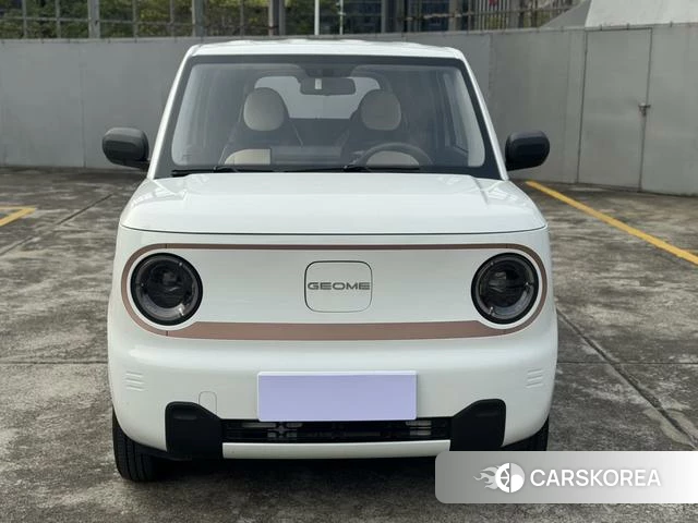 Geely Galaxy panda 2025 Белый из Китая, фото 3