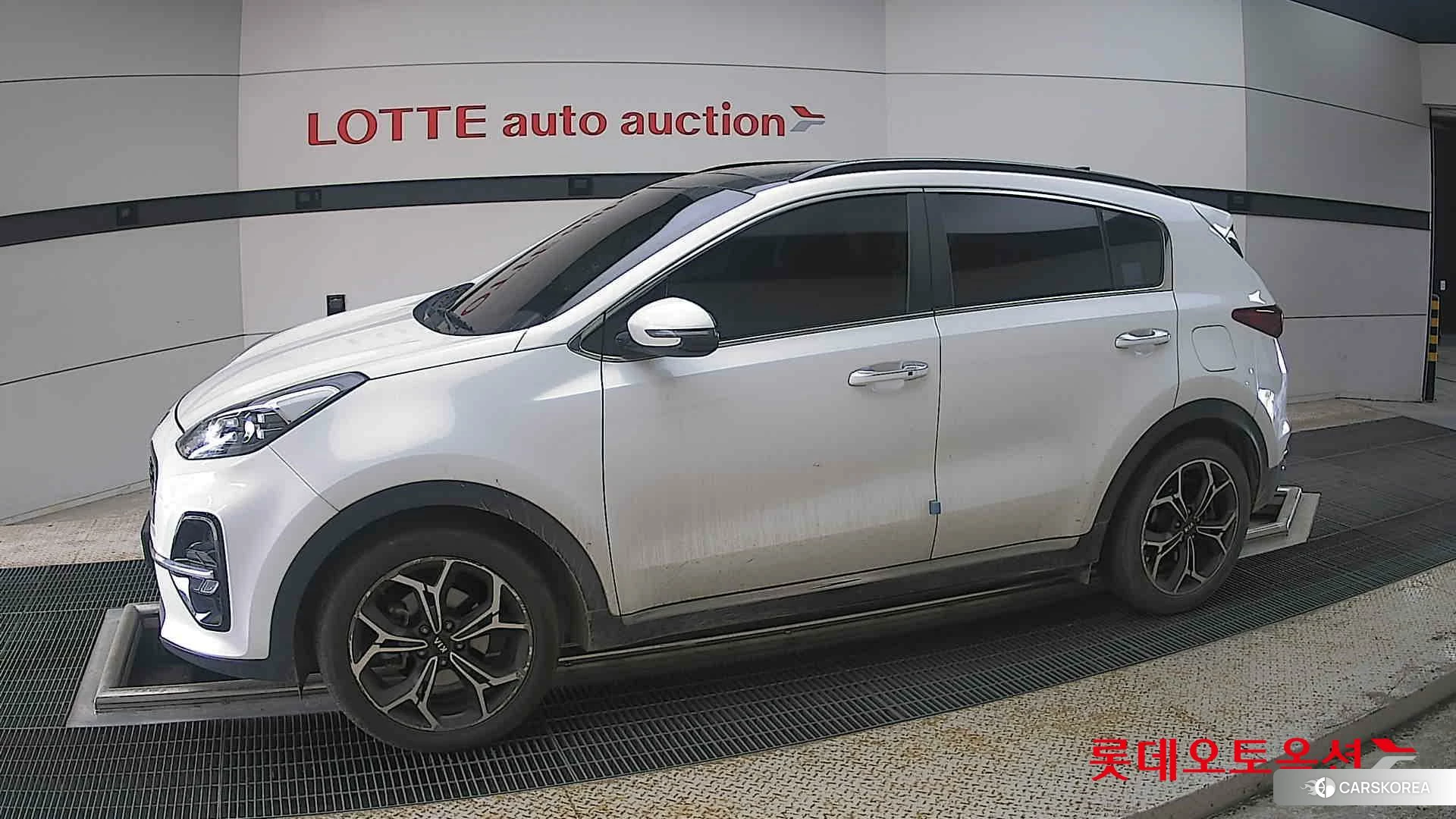 Kia Sportage 2020 Snow White Pearl (optional) из Кореи, фото 3