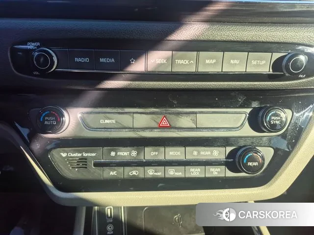 Kia The New Carnival 2019 Жемчужный цвет из Кореи, фото 3