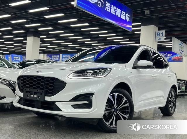 Ford Ruiji 2021 Белый из Китая, фото 3