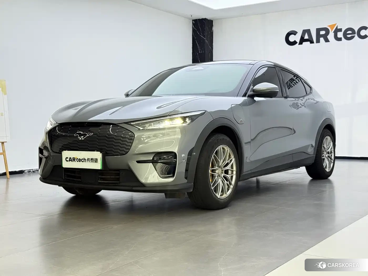 Ford Electric horse 2023 Silver/gray из Китая, фото 3