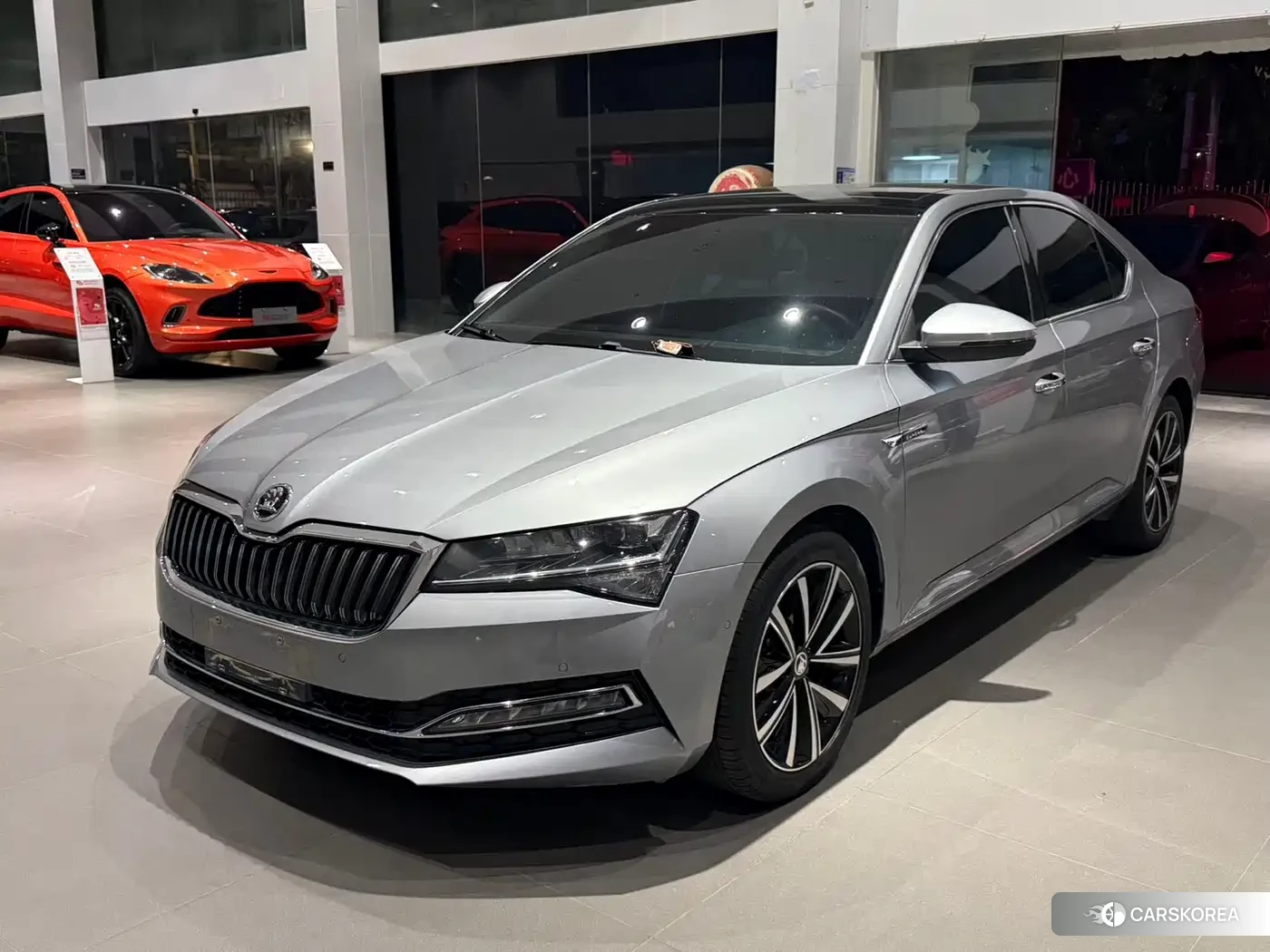 Skoda Speed pie 2023 Silver/gray из Китая, фото 3