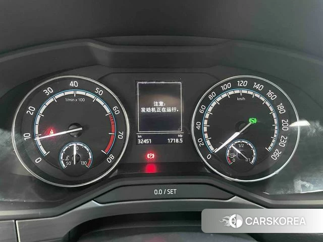 Skoda Speed pie 2021 Белый из Китая, фото 3