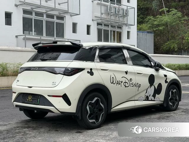 BYD dolphin 2025 Желтый из Китая, фото 3