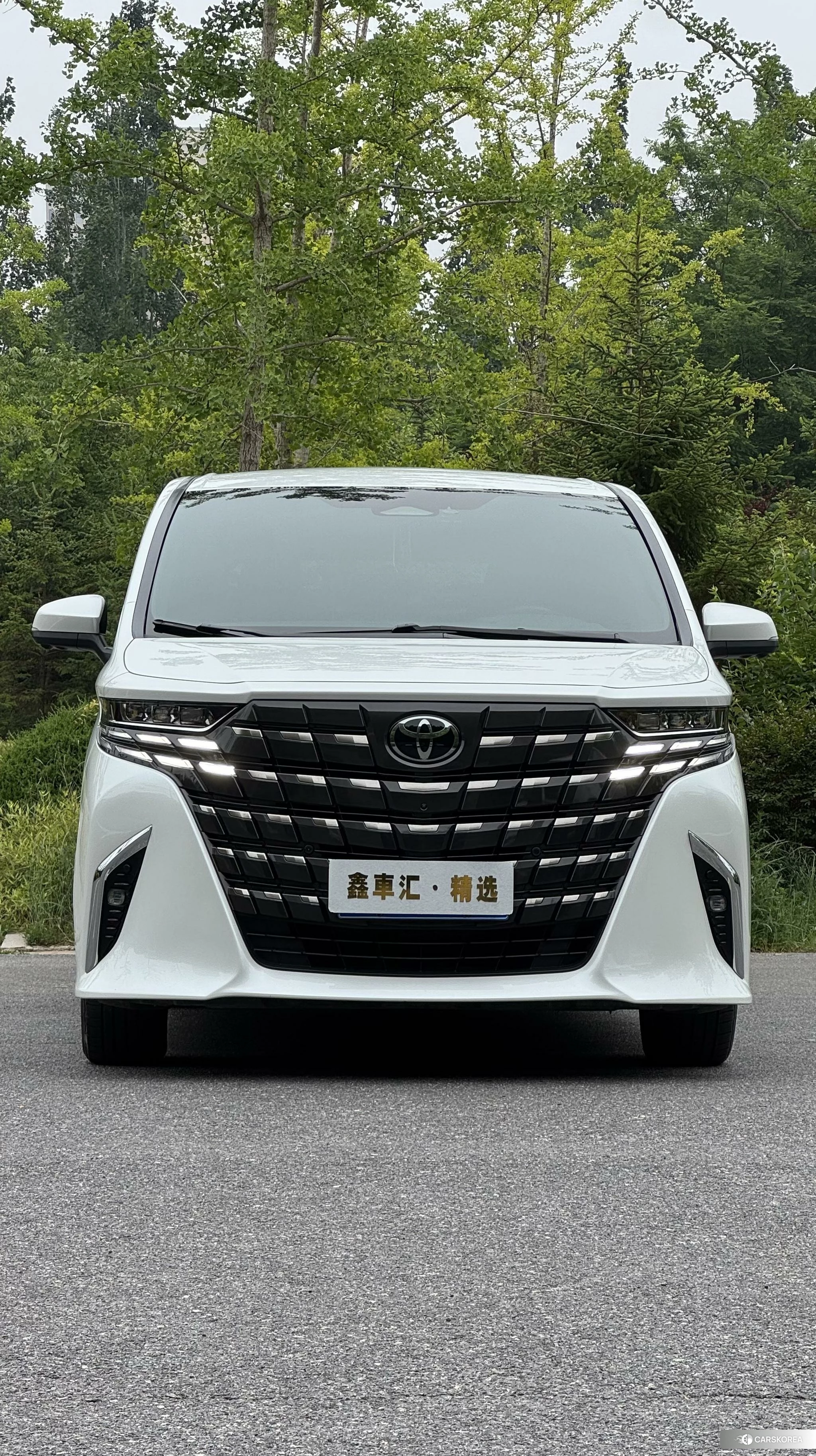 Toyota Elfa 2024 Белый из Китая, фото 3