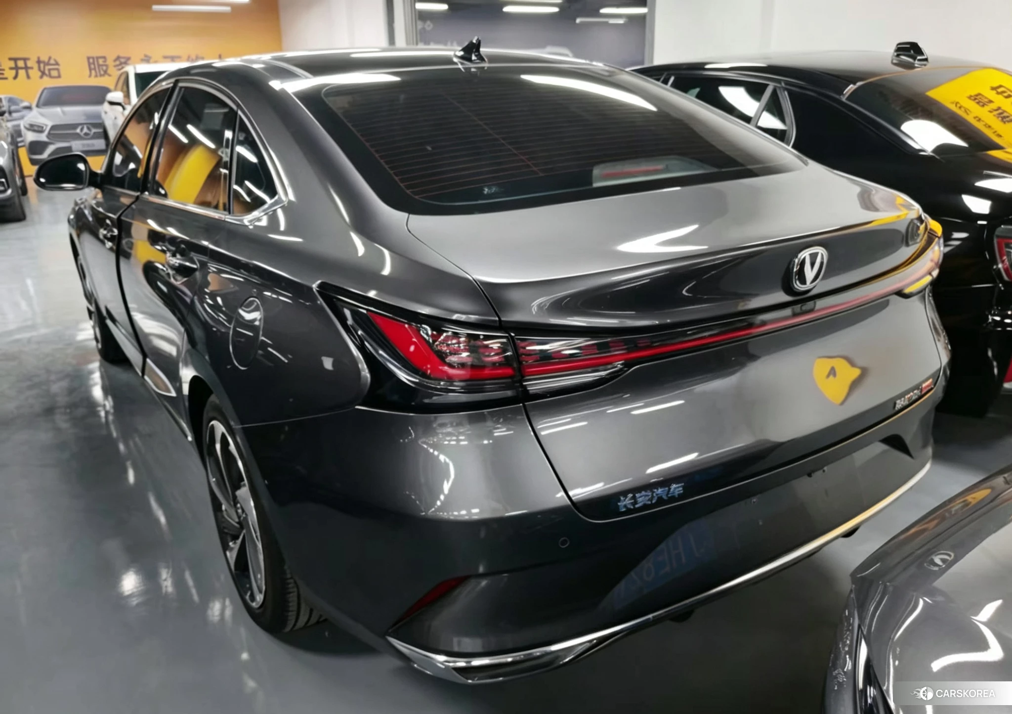 Chang'an Ruicheng PLUS 2022 Темно-серый из Китая, фото 3
