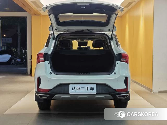 GAC Trumpchi Trumpchi GS4 2019 Белый из Китая, фото 3