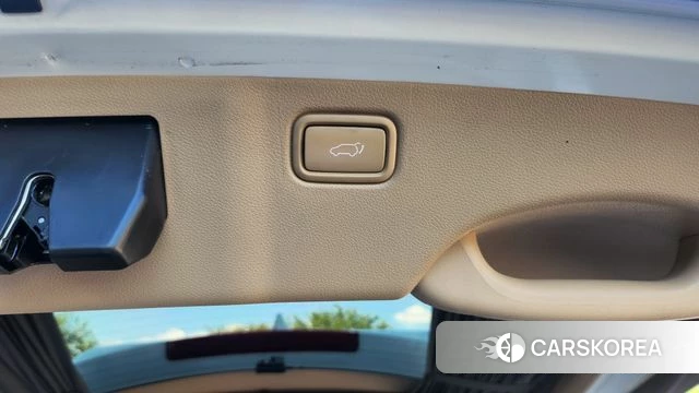 Kia The New Carnival 2019 Жемчужный цвет из Кореи, фото 3