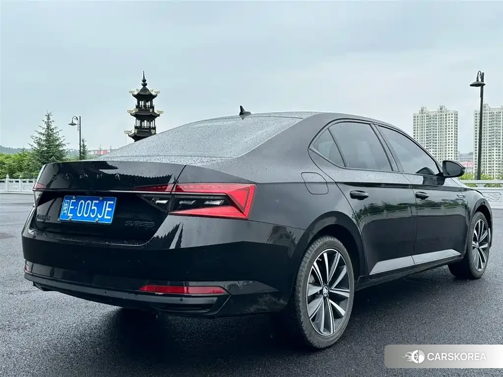 Skoda Speed pie 2023 Черный из Китая, фото 3