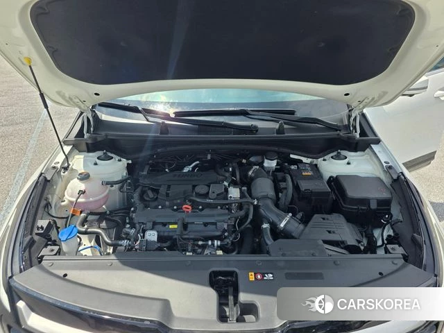 Kia The New Sportage 5th Generation 2025 Белый из Кореи, фото 3