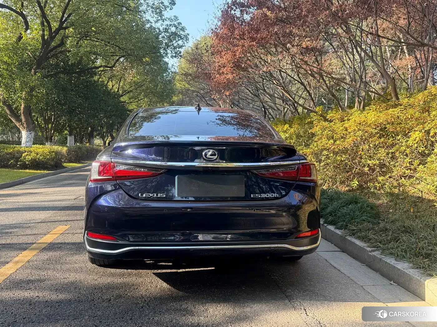 Lexus ES 2022 Синий из Китая, фото 3