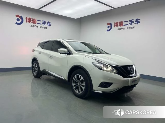 Nissan Loulan 2021 Белый из Китая, фото 3